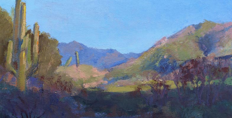 Desert Shadows
